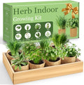 LUOJIBIE Herb Garden Kit Indoor, Herb Growing Kit with Seeds & Tools, Birthday Gifts for Women Men Mom Dad Girls Boys Kids, House Warming Gifts New Home, Kitchen Décor by LUOJIBIE