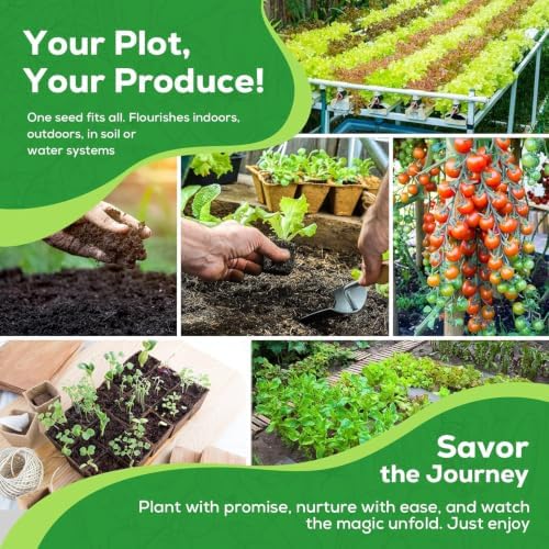 Fall Winter Vegetable Heirloom Seeds | 30 Varieties | 17240+ High Yield Garden Seeds | Lettuce, Kale, Sweet Basil, Cherry Tomato& More | 2026 Season | for Indoor & Outdoor Home Planting - Image 7