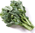 Chinese Broccoli-1000 Seeds,Kai LAN,GAI LAN,Brassica Alboglabra,Open Pollinated by Unknown