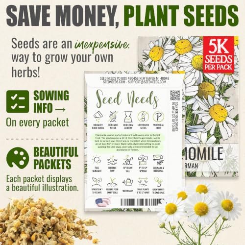 Seed Needs German Chamomile Seeds to Plant Non-GMO & Heirloom Herbs XL Pack - Image 3