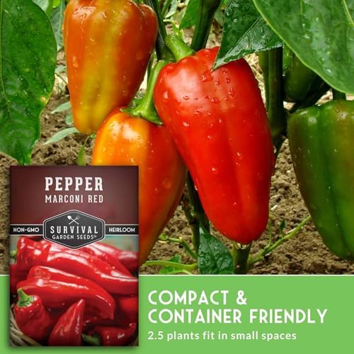 Marconi Red Pepper Seeds for Planting - 1 Pack - Image 5