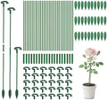 Pack of 30 Small Plant Stakes for Indoor Plants 6.7 Inches by Ruksifg