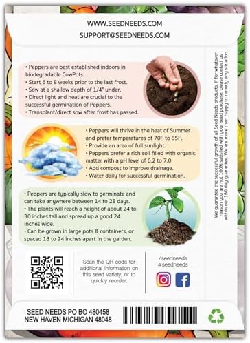 Seed Needs Rainbow Bell Pepper Seeds to Plant Vegetables - 5 Packs - Image 2
