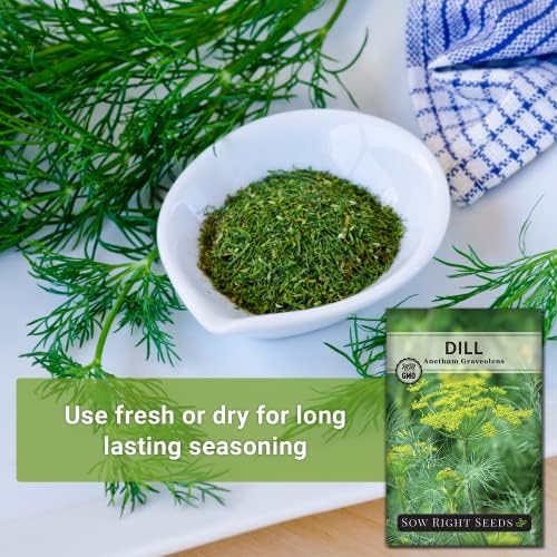 Sow Right Seeds- Bouquet Dill Seed for Planting Non-GMO Heirloom Garden 2pk - Image 3
