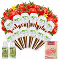 Seed Pods Kit Hydroponic Refill for Indoor Garden (Tomato) by Hreblink