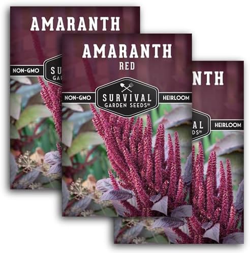 Red Amaranth Seeds for Planting - Survival Garden Seeds (3 Packs) by SurvivalGardenSeeds