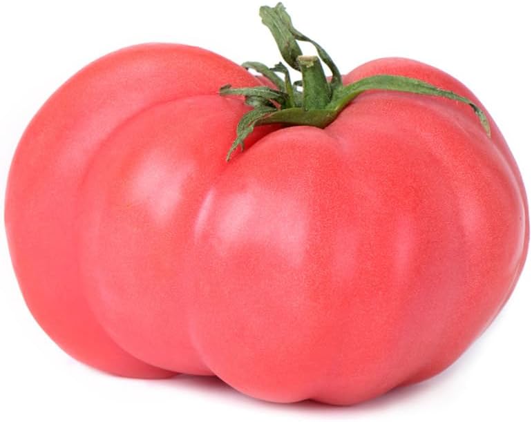 Pink Brandywine Tomato Seeds – 3,000 Bulk Seeds - Image 3