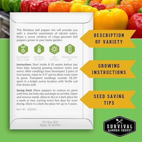 Bell Pepper Seeds for Planting - Rainbow Mix Sweet Peppers (2 Pack) - Image 2