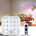 Wall Mounted Grow Light for Indoor Plants, Full Spectrum, 1-Pack by SuEiko