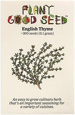 Organic English Thyme Seeds for Planting: 300 Count by ThePlantGoodSeedCompany