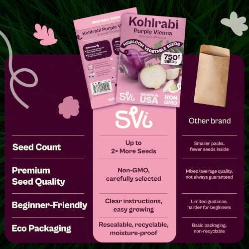SVI 750 Purple Vienna Kohlrabi Heirloom Vegetable Seeds Brassica oleracea - Image 6
