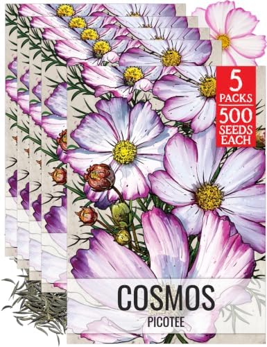 Seed Needs Picotee Cosmos Seeds to Plant Cut Flowers - 5 Packs by SeedNeeds