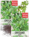 Seed Needs Italian Oregano Seeds to Plant an Herb Garden - 2 Packs by SeedNeeds
