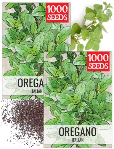 Seed Needs Italian Oregano Seeds to Plant an Herb Garden - 2 Packs by SeedNeeds