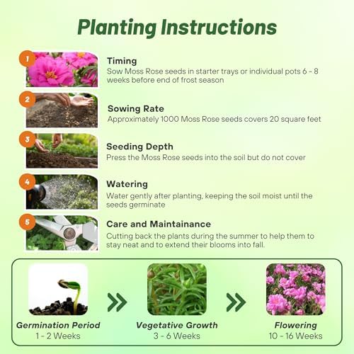 Outsidepride Pink Moss Rose Seeds - 5000 Pcs Annual, Drought & Heat Tolerant, Pollinator Friendly Ground Cover Seeds for Planting w/Vibrant Blooms & Succulent Foliage, Ideal for Xeriscaping - Image 5