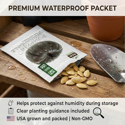 25 Jarrahdale Pumpkin Seeds for Planting - Heirloom Blue-Grey Pumpkin, Non-GMO, USA Grown - Cucurbita Maxima for Pies, Soups, Roasting & Fall Decor - Image 4