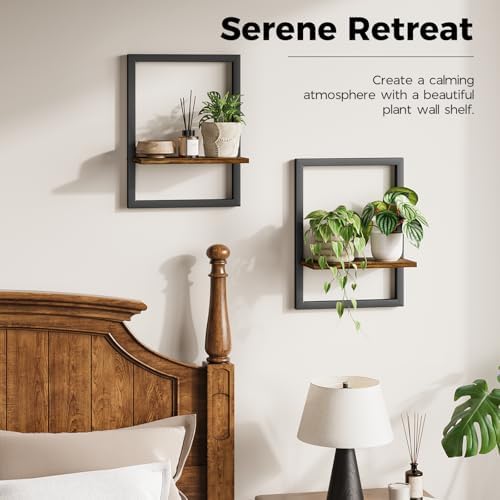 Bamworld Wall Plant Holder Hanging Planters for Indoor Plants Frames Decor - Image 4
