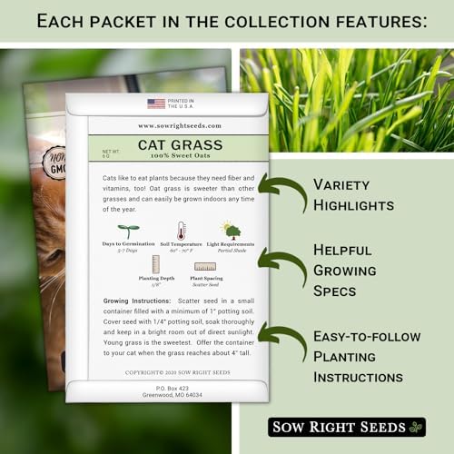 Sow Right Seeds - Catnip and Cat Grass Seed Collection for Planting Garden - Image 2