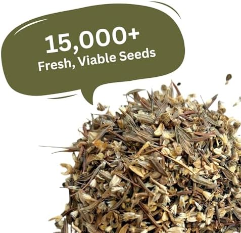 Cut Flower Seed Mix - 1 oz, 15,000+ Seeds - Image 4