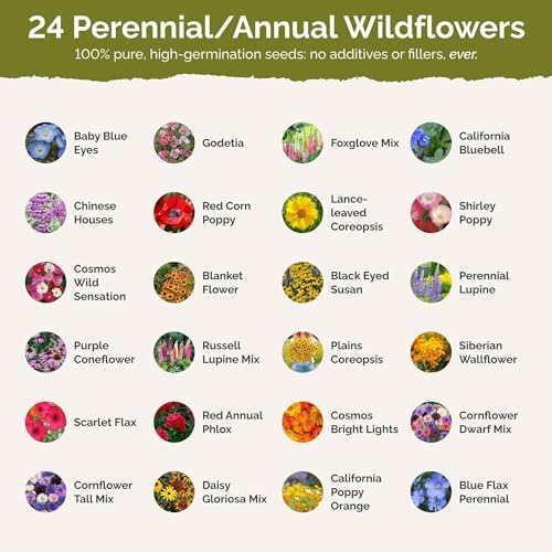 Eden Brothers Pacific Northwest Wildflower Mixed Seeds for Planting, 10 lb - Image 3