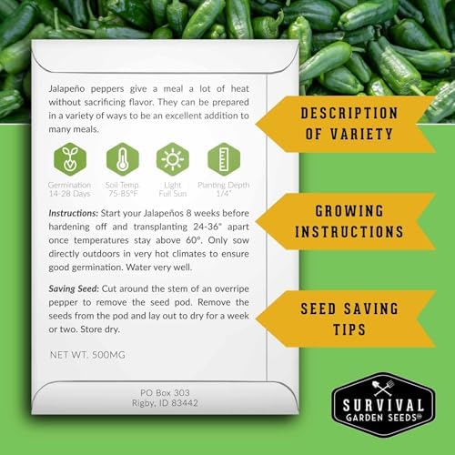 Jalapeño Pepper Seeds for Planting - 1 Pack - Image 2
