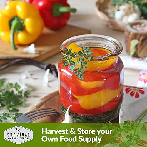 Bell Pepper Seeds for Planting - Rainbow Mix Sweet Peppers (3 Pack) - Image 5