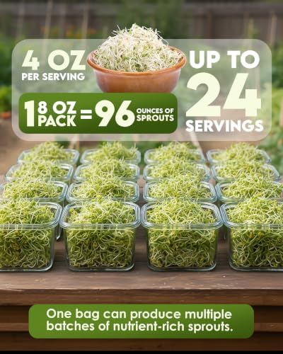 Nature Jim's Sprout Organic Broccoli Seeds – Non-GMO, Sprouting Seeds - 8oz - Image 3