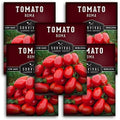 Roma Tomato Seeds for Planting - 5 Packs by SurvivalGardenSeeds