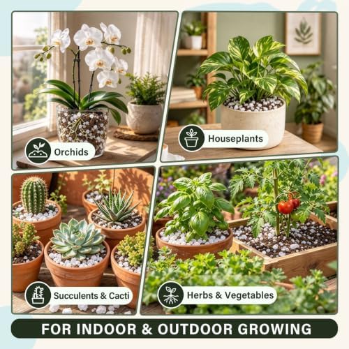 1QT Organic Perlite For Plants Indoor, Horticultural Soil Amendment - Image 6