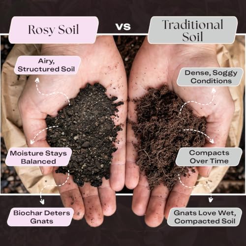 Rosy Soil Aroid Soil Mix, Chunky Biochar Potting Mix, 4 Quarts (Pack of 2) - Image 4