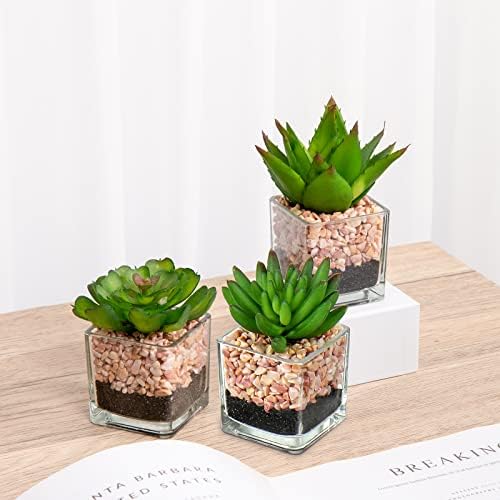 Briful Mini Fake Plants 3 Packs Cute Succulents Artificial Plants in Square Glass Vase Pot Potted Faux Succuletns for Living Room Dining Room Bathroom Kitchen Windowsill Table Decor - Image 5