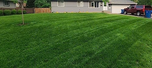 Tuff Turf, Lawn Grass Seed Mixture, 1 lb - Image 3