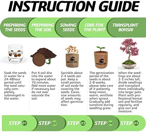 Meekear Bonsai Tree Kit with Complete Growing Starter Kit, Great Potted Growing DIY Gift for Adults - Image 6