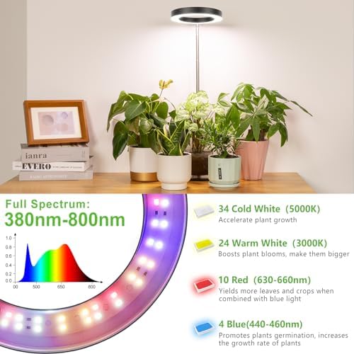 LORDEM Grow Light, Full Spectrum LED Desk Lamp for Plants - Image 6