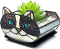 Cactus Black Cat Planter, Cute Small Stained Glass Flower Pot,Terrarium Planter for Tabletop Houseplants，Gifts for Cat Lovers 4.33x3.54x2.95 in (Flower Pot Does not Include Plants) by Entlityful