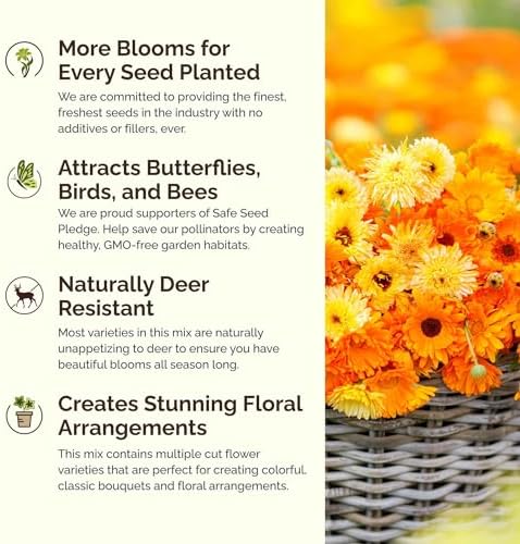 Eden Brothers Partial Shade Wildflower Mixed Seeds for Planting, 10 lb, 4,800,000+ Seeds with Sweet William, Foxglove | Attracts Pollinators, Plant in Spring or Fall, Zones 3, 4, 5, 6, 7, 8, 9, 10 - Image 4