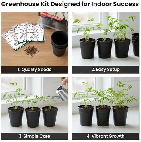 Zombie Plant Greenhouse Grow Kit - Touch It and Watch It Play Dead - Unique Grow Kit to Cultivate a Fun Indoor Plant that Revives in Minutes - Cool Plants and Great for Housewarming Gifts - Image 3