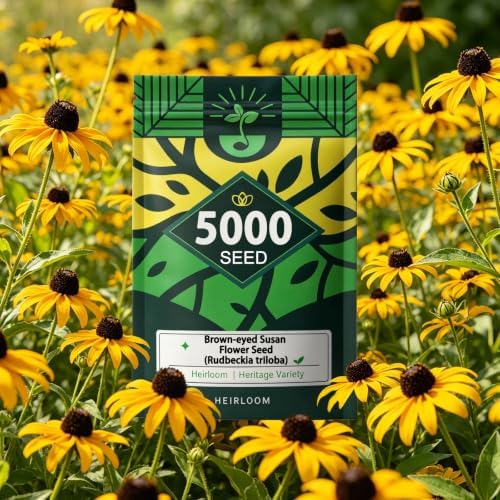 Brown-Eyed Susan Seeds for Planting, 5000 Biennial Rudbeckia Triloba by Unknown