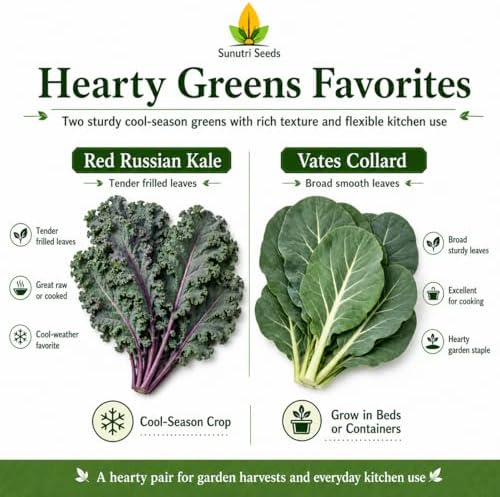 Salad Greens Variety Pack Seeds – 9 Heirloom Leafy Green Vegetable Seeds | Lettuce Kale Spinach Arugula Collards Beet Greens Mustard Cress for Raised Beds Containers Garden - Image 6