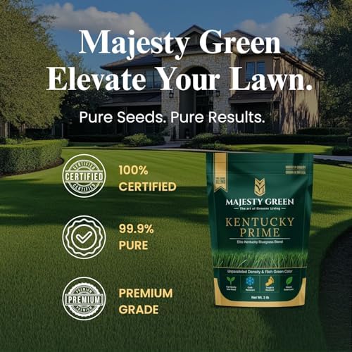 Kentucky Bluegrass Seed Blend, 3 lb Bag - Image 4
