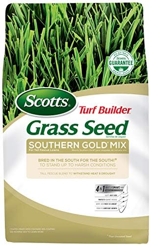 Scotts Turf Builder Grass Seed Southern Gold Mix for Tall Fescue Lawns, Stands Up to Harsh Conditions, 40 lbs. by Unknown