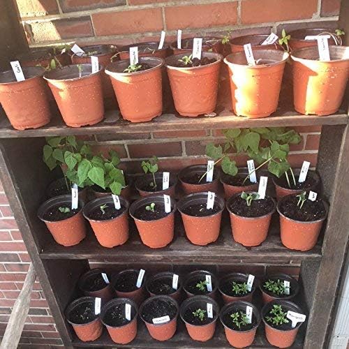KINGLAKE 100 Pcs 6" Plastic Plants Nursery Pot/Pots Seedlings Flower Plant Container Seed Starting Pots - Image 6