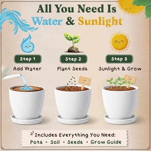 Indoor Herb Garden Starter Kit with 10 USDA Organic Seeds and Pots - Image 3