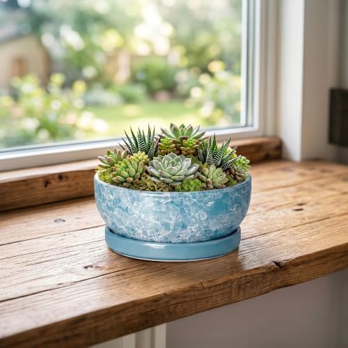 Bonsai Tree Pots 6 Inch, Ceramic Succulent Planters, Droplet Blue - Image 4