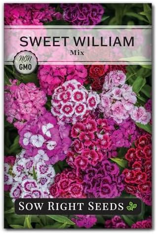 Sow Right Seeds - Sweet William Mix Seed for Planting Dianthus Flowers by SowRightSeeds
