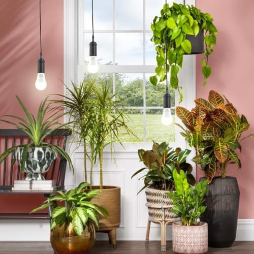2 Pack LED Grow Light Bulbs，Full Spectrum Plant Light Bulb, 9W Replace 100W - Image 5