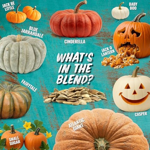 Seed Needs Spooky Blend Pumpkin Seeds to Plant Vegetables - 10 Packs - Image 7
