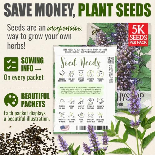 Seed Needs Anise Hyssop Seeds to Plant Non-GMO & Heirloom Herbs XL Pack - Image 3