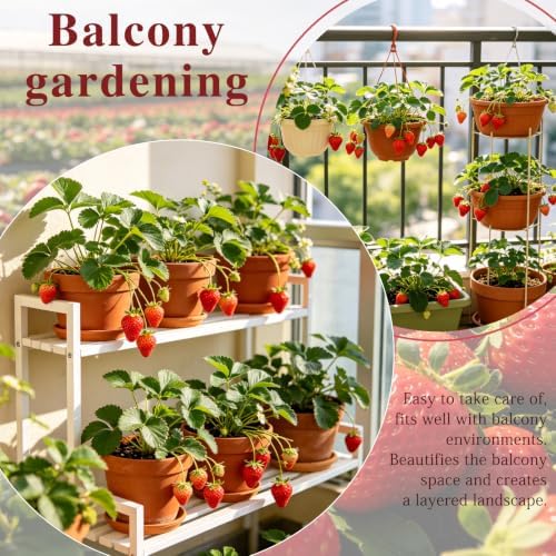 Strawberry Seeds for Planting Outdoor, Heirloom Seed, High Germination, Red - Image 3
