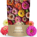 Zinnia Crazy Blend - Bulk 1/4 Pound Pouch - 15,000 Flower Seeds for Planting - Zinnia elegans by SweetYards